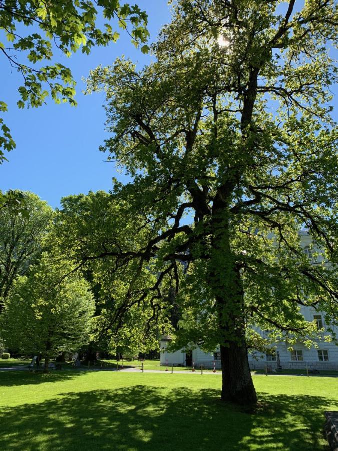 Schlosspark Grubhof - Mitterer Sankt Martin bei Lofer Dış mekan fotoğraf