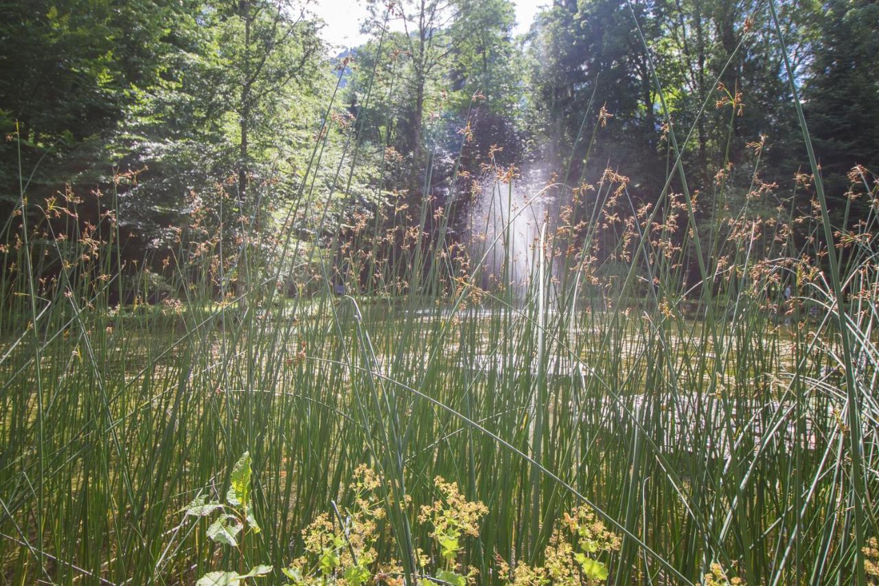 Schlosspark Grubhof - Mitterer Sankt Martin bei Lofer Dış mekan fotoğraf